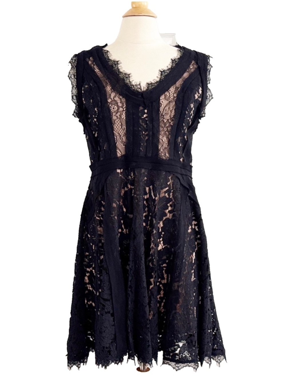 Heartloom Sera Black Lace Scalloped Cutout Cocktail/Party/Office Dress Large